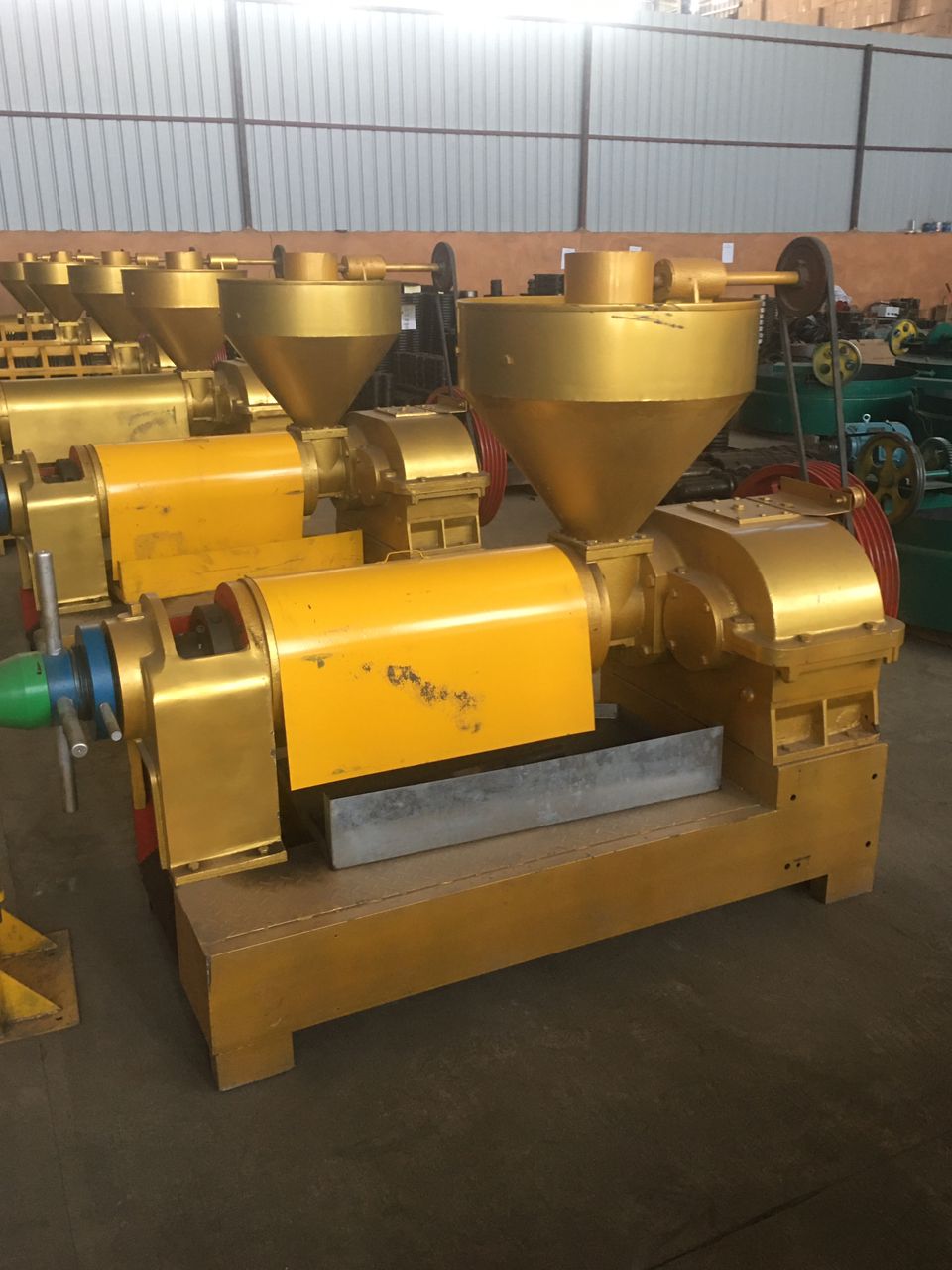 Bank of gold-finished screw expeller presses